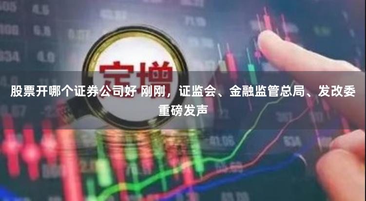 股票开哪个证券公司好 刚刚，证监会、金融监管总局、发改委重磅发声