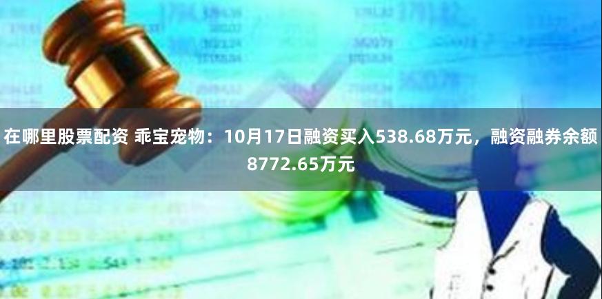 在哪里股票配资 乖宝宠物：10月17日融资买入538.68万元，融资融券余额8772.65万元