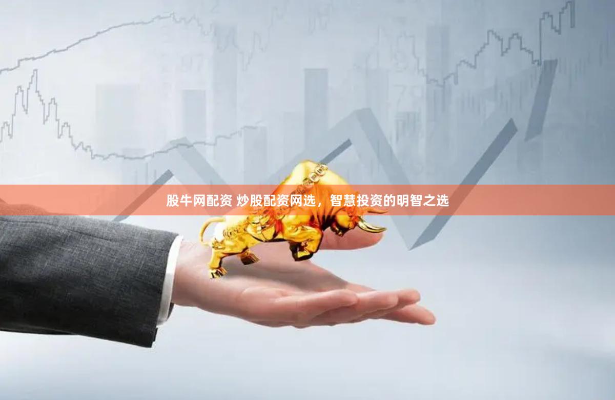股牛网配资 炒股配资网选，智慧投资的明智之选